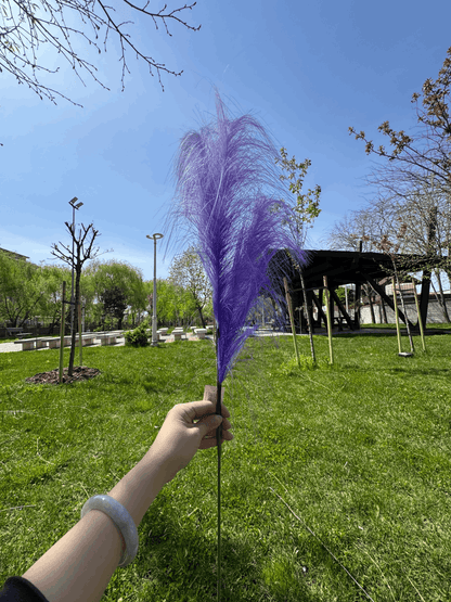 Pană Decorativă Artificială Tip Pampas 60 cm, Diverse Culori, 1 buc