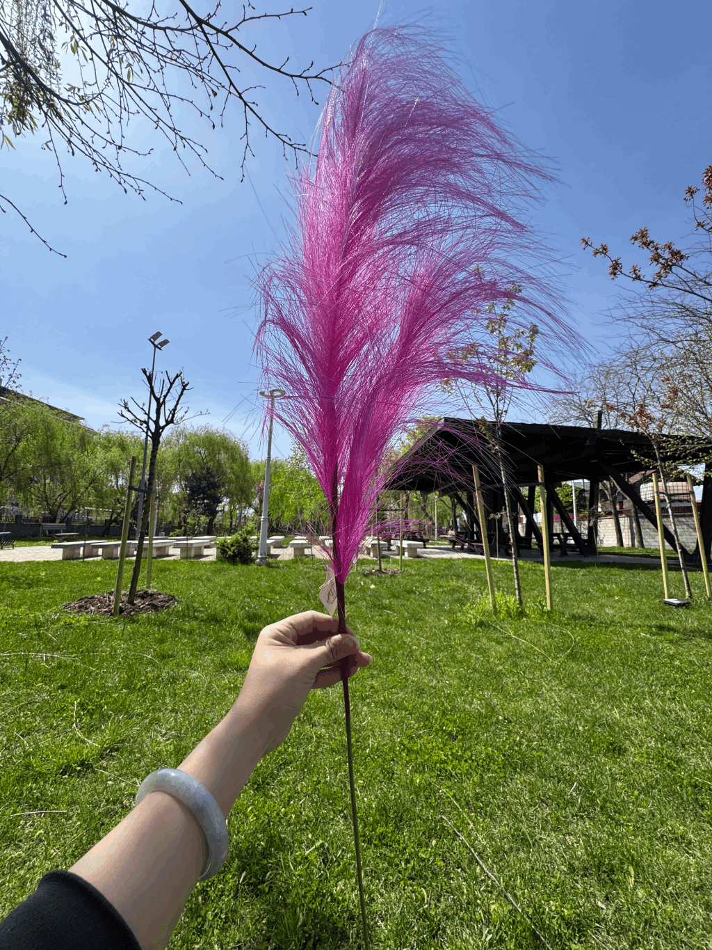 Pană Decorativă Artificială Tip Pampas 60 cm, Diverse Culori, 1 buc