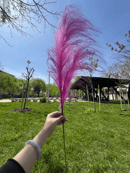 Pană Decorativă Artificială Tip Pampas 60 cm, Diverse Culori, 1 buc