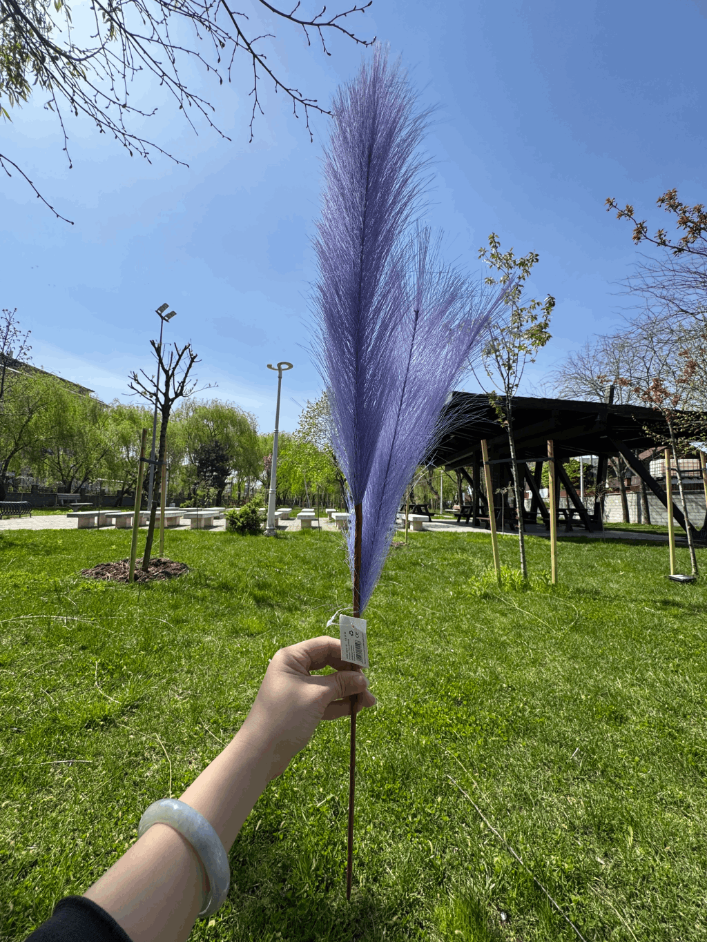 Pană Decorativă Artificială Tip Pampas 60 cm, Diverse Culori, 1 buc