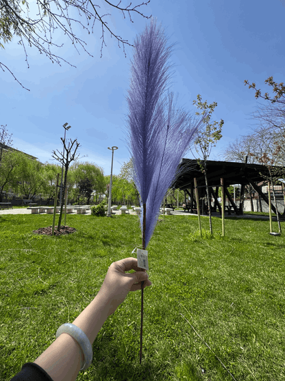 Pană Decorativă Artificială Tip Pampas 60 cm, Diverse Culori, 1 buc