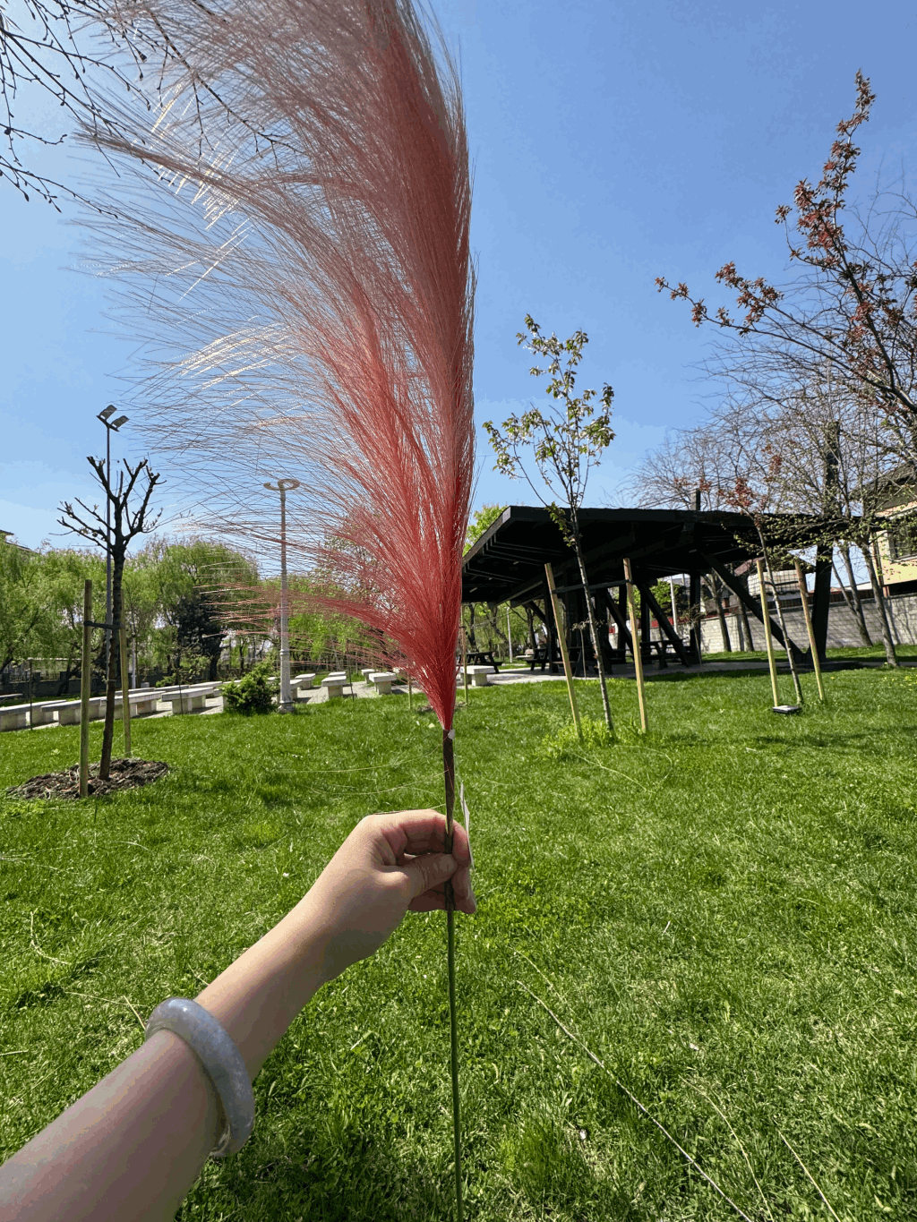 Pană Decorativă Artificială Tip Pampas 60 cm, Diverse Culori, 1 buc