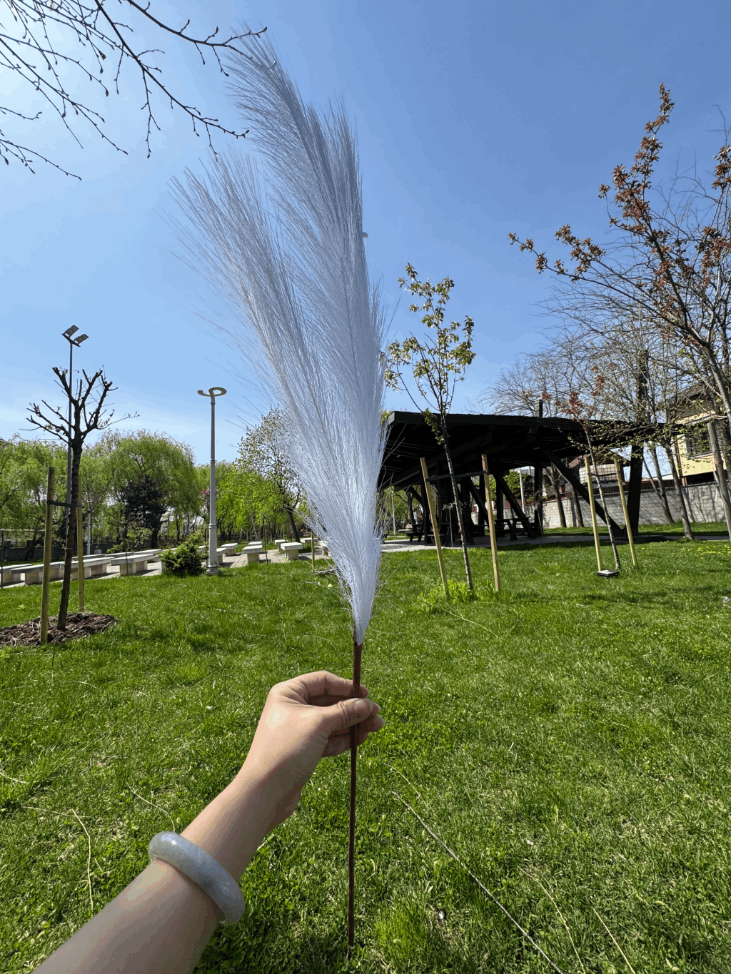 Pană Decorativă Artificială Tip Pampas 60 cm, Diverse Culori, 1 buc