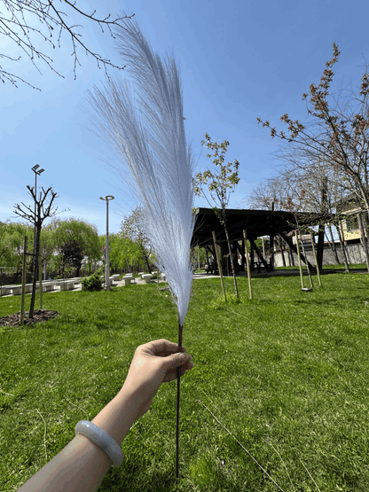 Pană Decorativă Artificială Tip Pampas 60 cm, Diverse Culori, 1 buc
