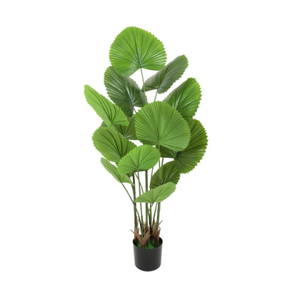 Planta artificiala decorativa cu frunze tip evantai, ghiveci negru, 130 cm