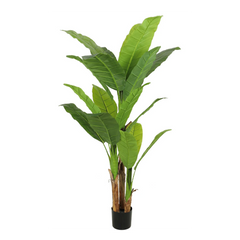 Planta artificiala decorativa cu frunze mari verzi, ghiveci negru, 190 cm