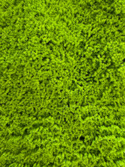 Panou Decorativ Artificial Tip Mușchi Verde Intens, 50 x 50 cm, Aspect Natural