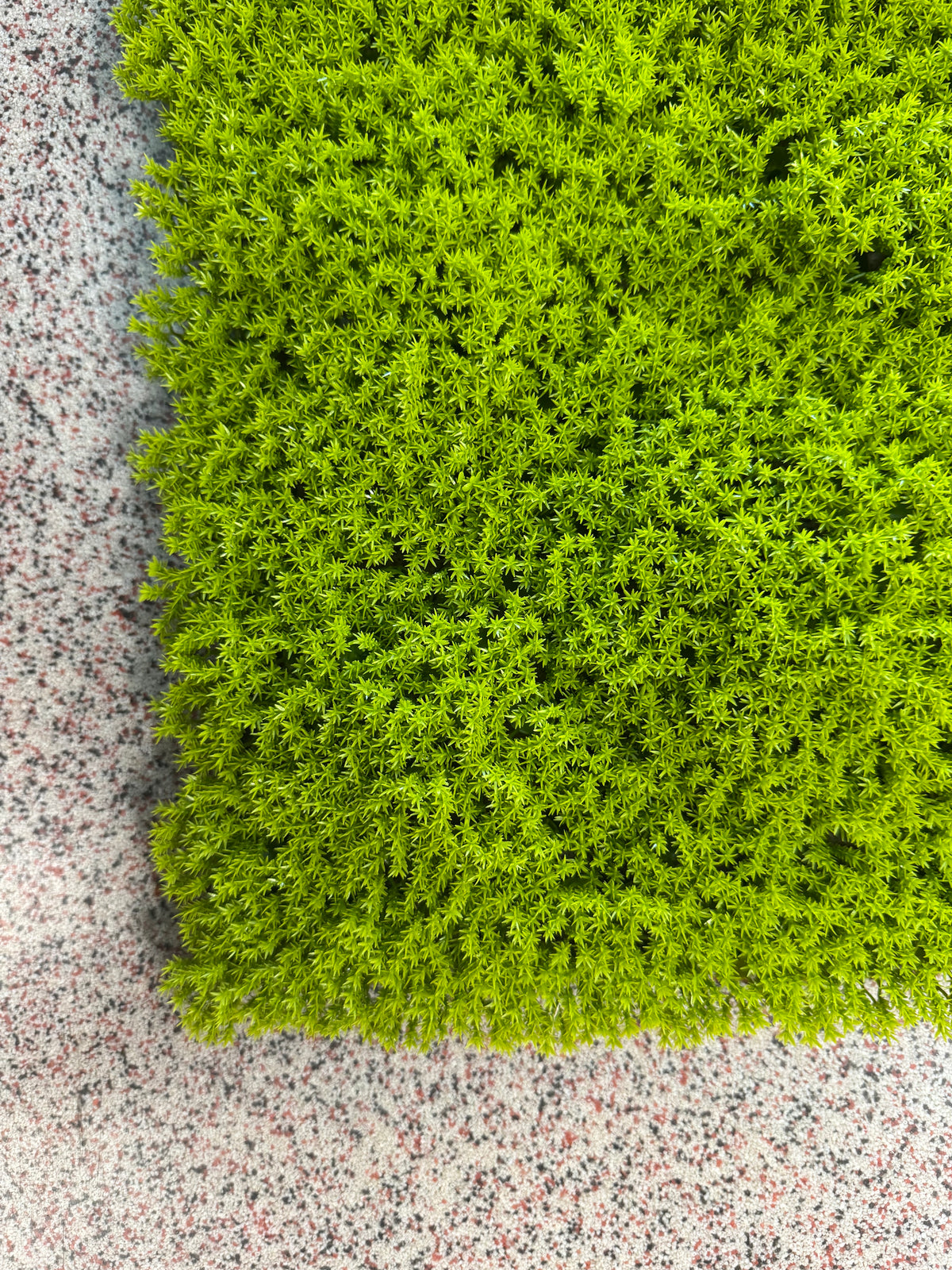 Panou Decorativ Artificial Tip Mușchi Verde Intens, 50 x 50 cm, Aspect Natural