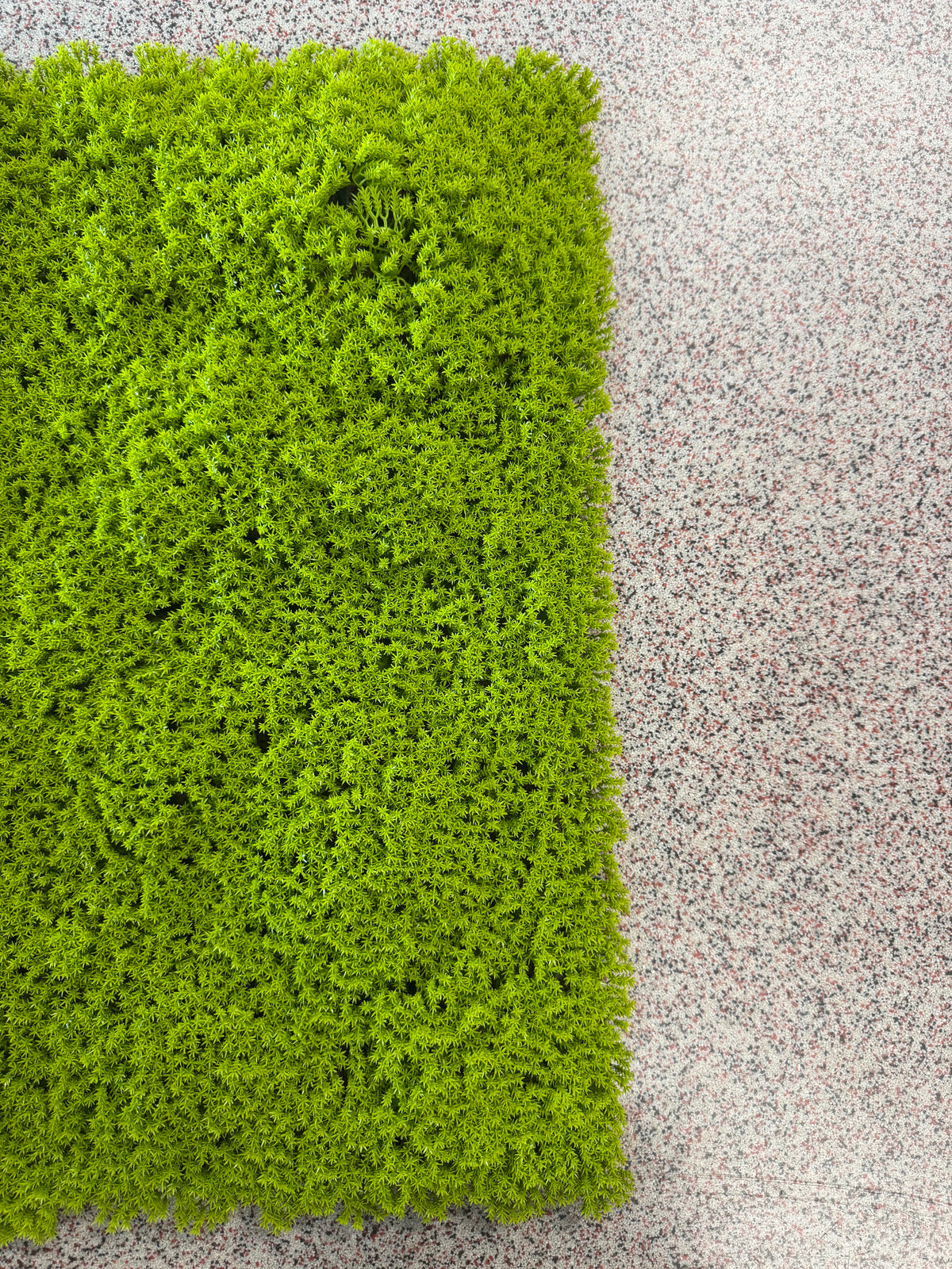 Panou Decorativ Artificial Tip Mușchi Verde Intens, 50 x 50 cm, Aspect Natural