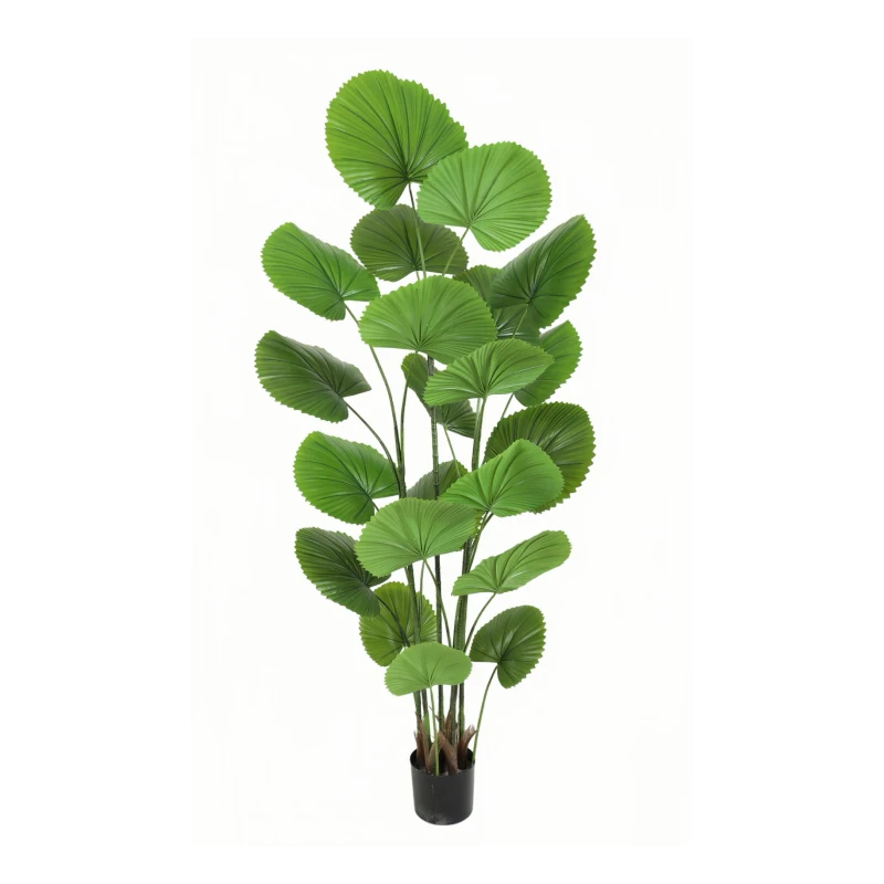 Planta artificiala decorativa cu frunze tip evantai, ghiveci negru, 180 cm