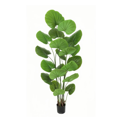 Planta artificiala decorativa cu frunze tip evantai, ghiveci negru, 180 cm