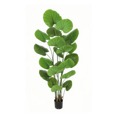 Planta artificiala decorativa cu frunze tip evantai, ghiveci negru, 180 cm