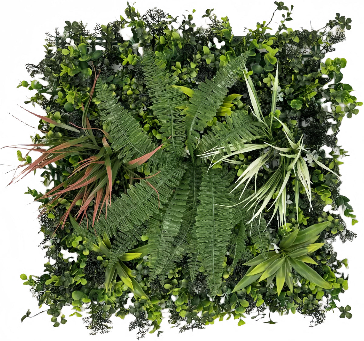 Panou Verde Din Plante Artificiale, 50cmx50cm