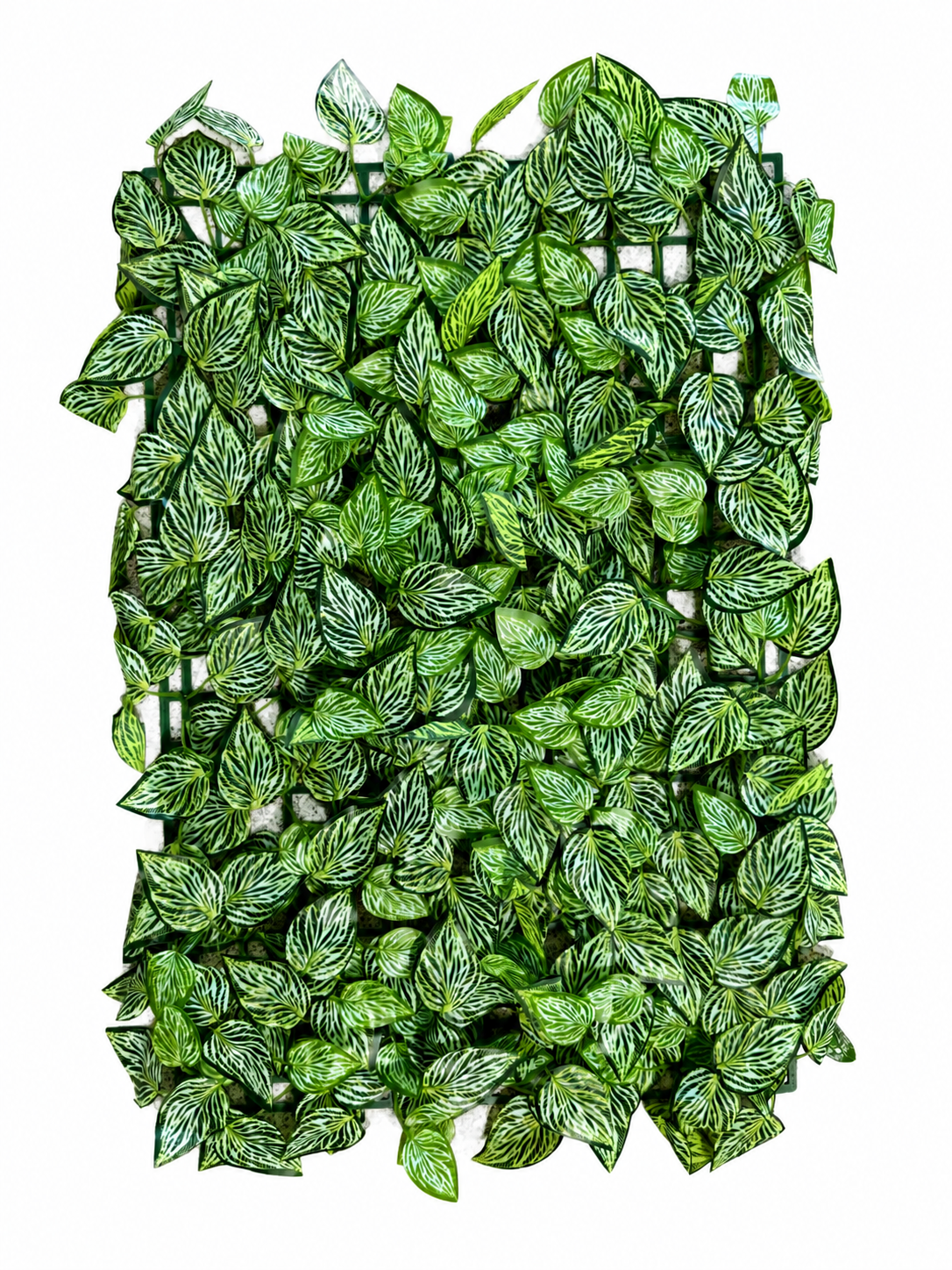 Panou Decorativ Artificial cu Frunze Verzi Tip Plasă, 40 x 60 cm