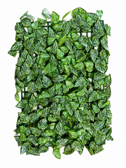 Panou Decorativ Artificial cu Frunze Verzi Tip Plasă, 40 x 60 cm