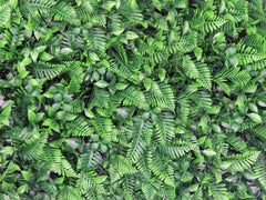 Panou Verde Din Plante Artificiale 40cm*60cm
