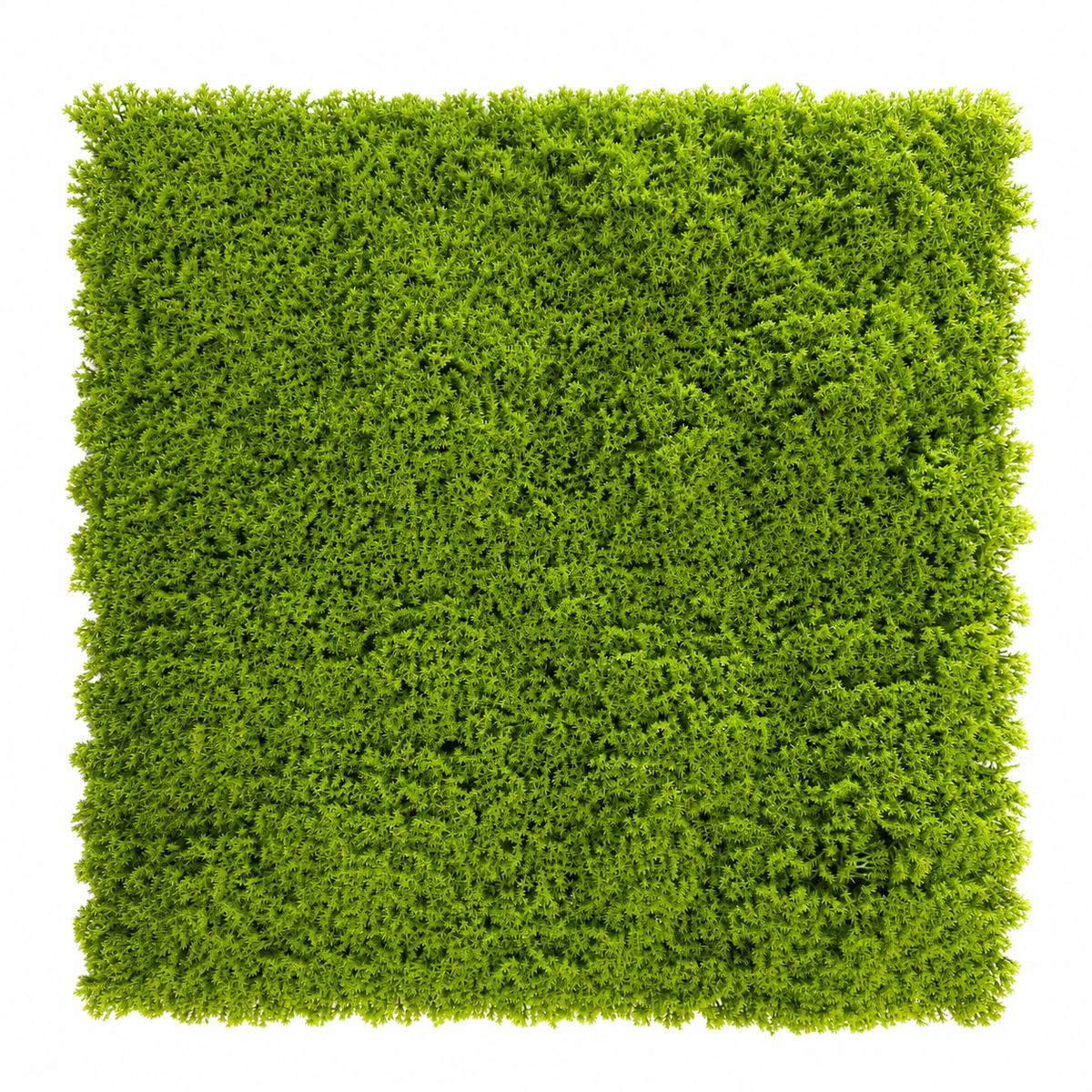 Panou Decorativ Artificial Tip Mușchi Verde Intens, 50 x 50 cm, Aspect Natural