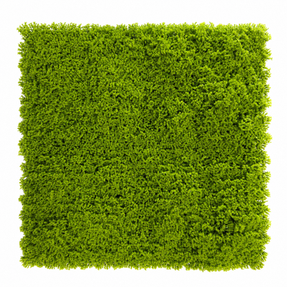 Panou Decorativ Artificial Tip Mușchi Verde Intens, 50 x 50 cm, Aspect Natural