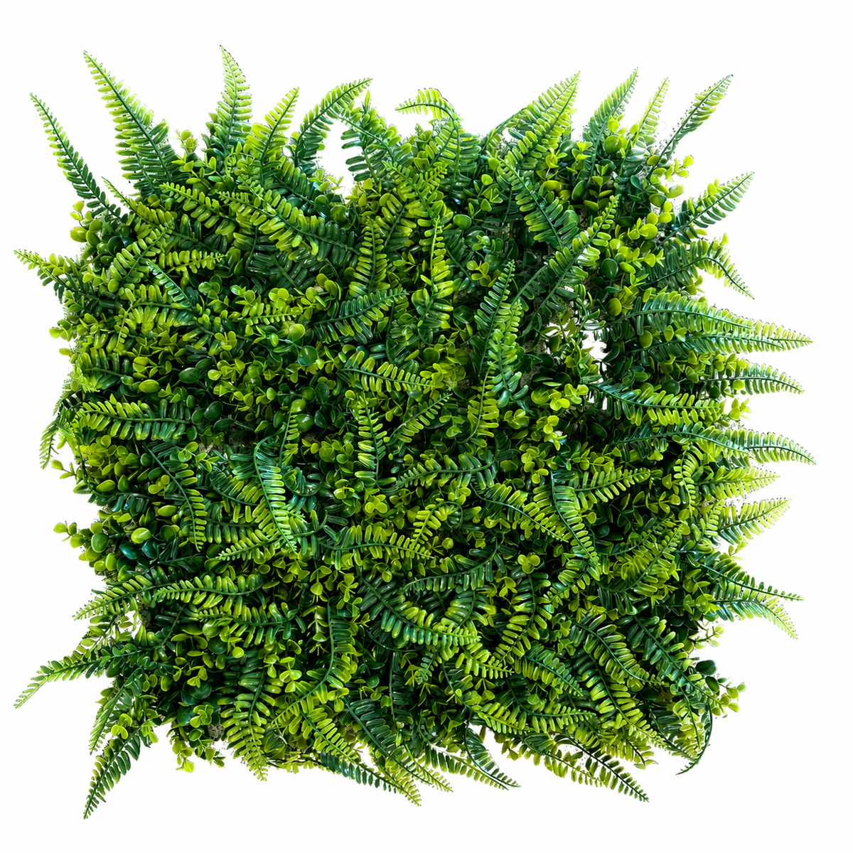 Panou Decorativ Artificial cu Frunze Tip Ferigă și Verdeață Densă Premium, 50 x 50 cm