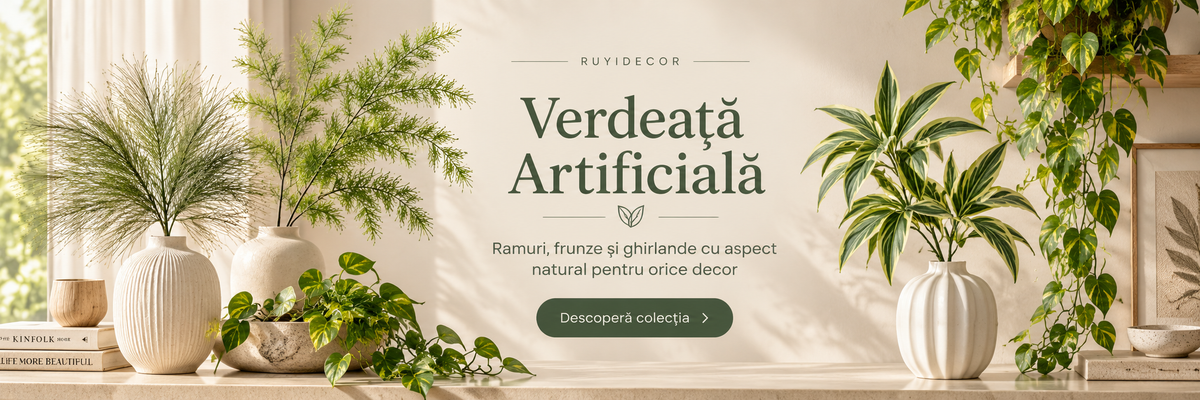 Descoperă oferta