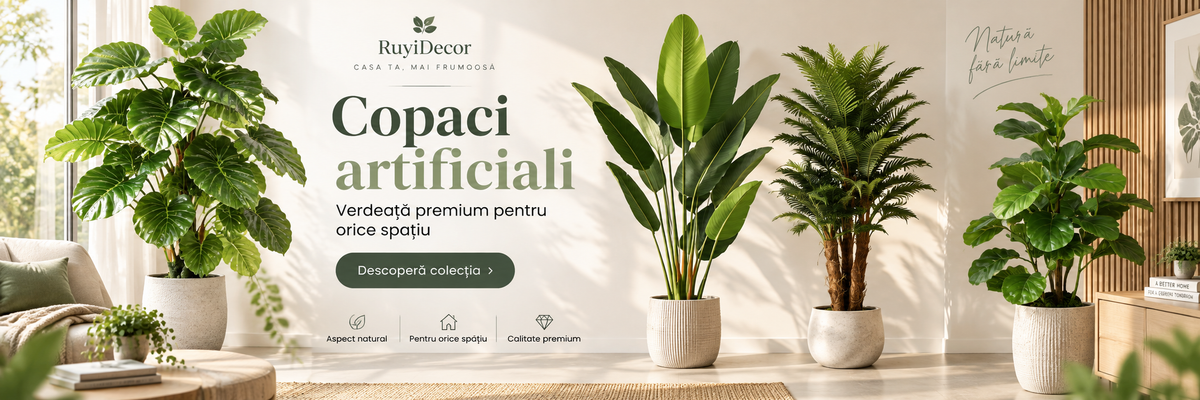 Descoperă oferta
