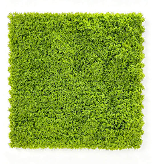 Panou artificial tip muschi verde, 50 x 50 cm, Ruyidecor