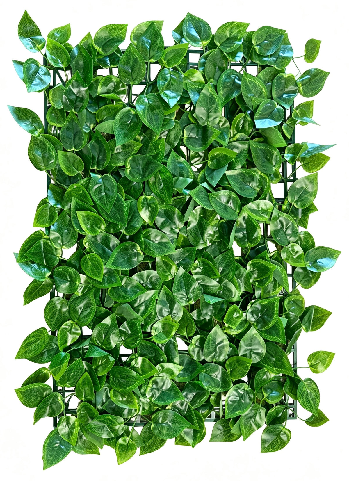 Panou verde artificial cu frunze ovale lucioase, 40 x 60 cm, Ruyidecor