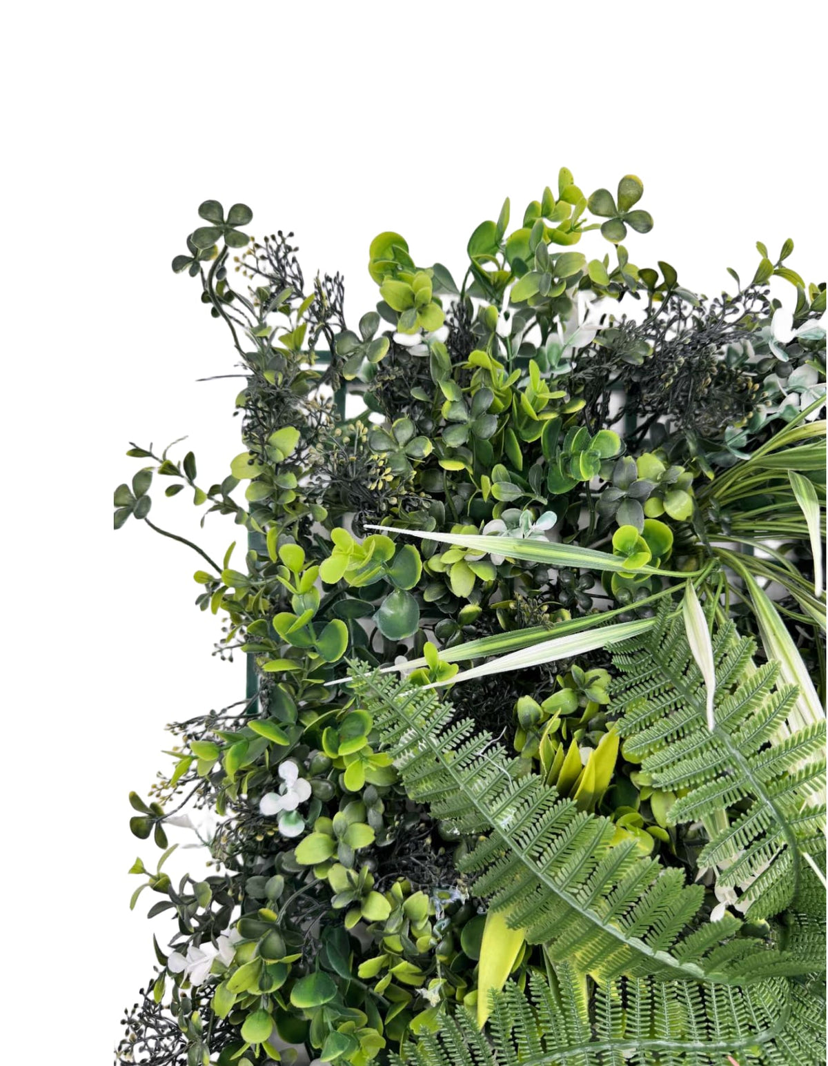 Panou Verde Din Plante Artificiale, 50cmx50cm