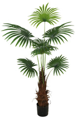 Palmier in ghiveci artificial, 180cm  cu ghiveci