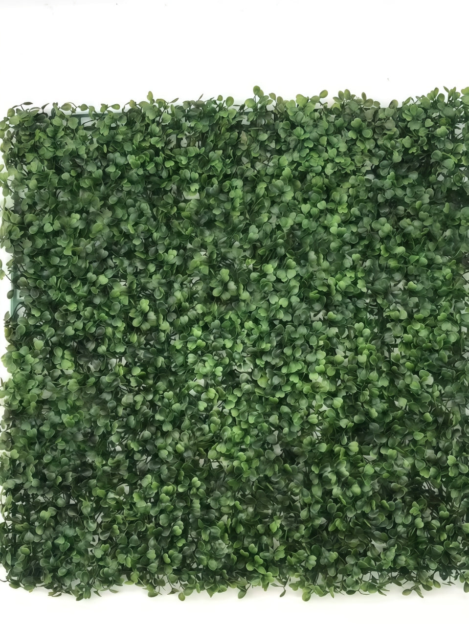 Panou Verde Din Plante Artificiale 50cm*50cm