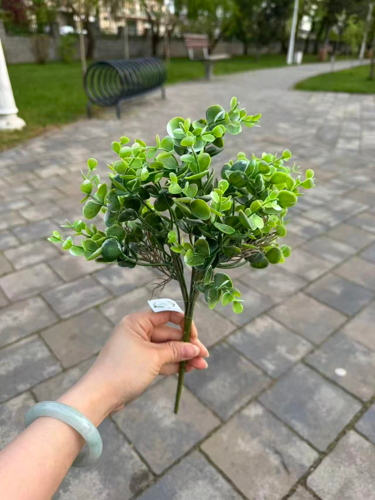 Buchet artificial cu frunze rotunde compacte, 35 cm, verde deschis, Ruyidecor