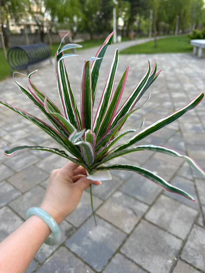 Buchet artificial tip sansevieria, 35 cm, 3 culori, Ruyidecor