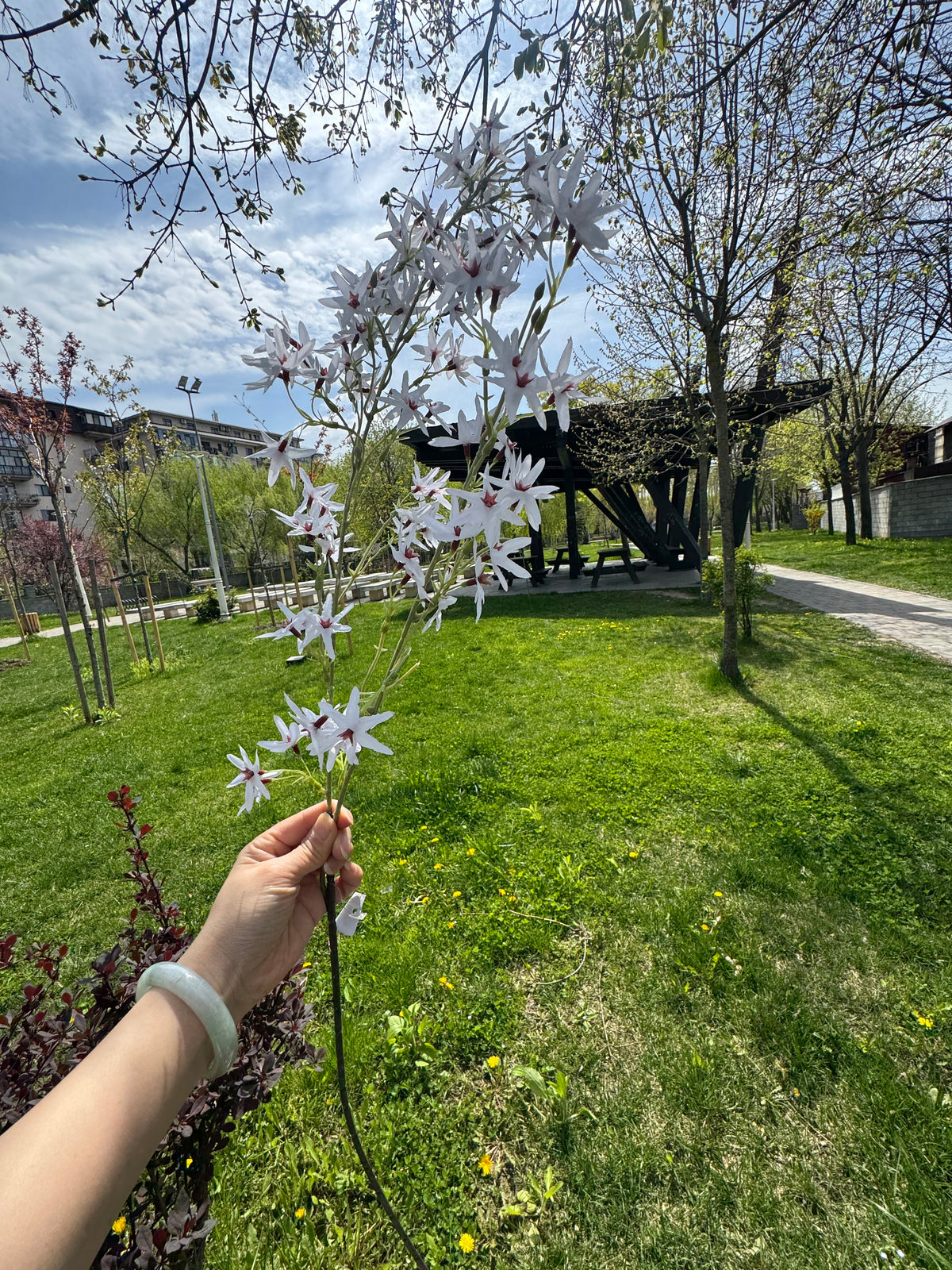 Crenguta artificiala cu flori stelate, 110 cm, 4 culori, Ruyidecor
