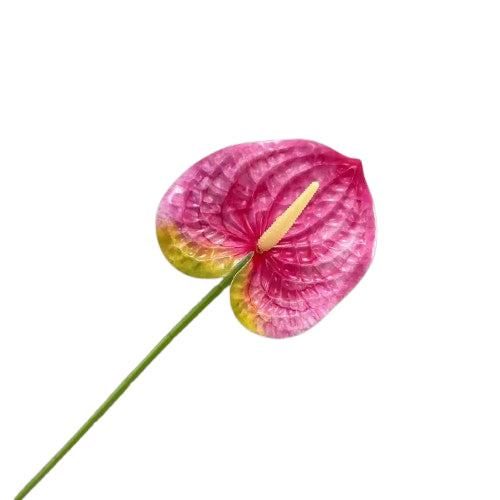 Floare anthurium artificiala cu tija, 59 cm, 13 modele, Ruyidecor