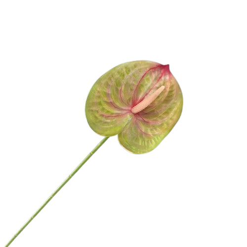 Floare anthurium artificiala cu tija, 59 cm, 13 modele, Ruyidecor