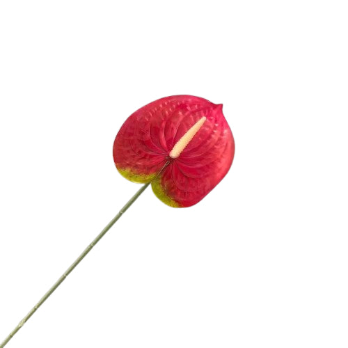 Floare anthurium artificiala cu tija, 59 cm, 13 modele, Ruyidecor