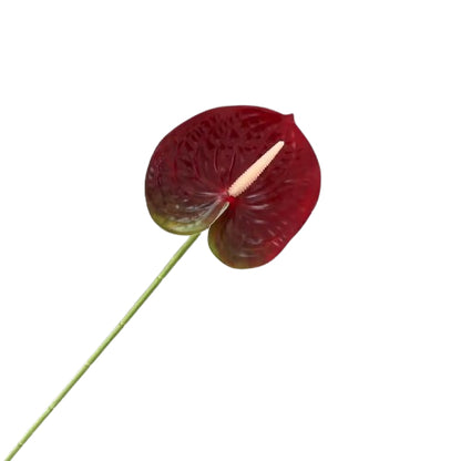 Floare anthurium artificiala cu tija, 59 cm, 13 modele, Ruyidecor