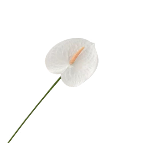 Floare anthurium artificiala cu tija, 59 cm, 13 modele, Ruyidecor
