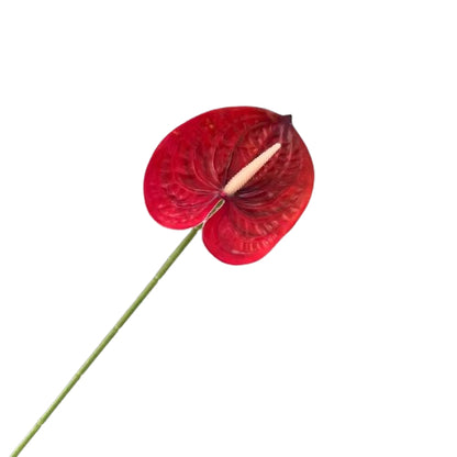 Floare anthurium artificiala cu tija, 59 cm, 13 modele, Ruyidecor
