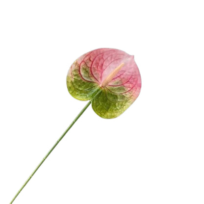 Floare anthurium artificiala cu tija, 59 cm, 13 modele, Ruyidecor