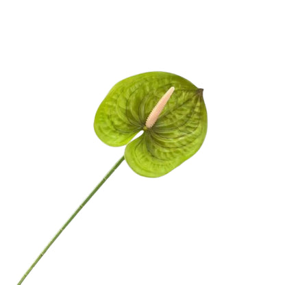 Floare anthurium artificiala cu tija, 59 cm, 13 modele, Ruyidecor