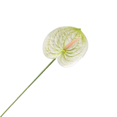 Floare anthurium artificiala cu tija, 59 cm, 13 modele, Ruyidecor