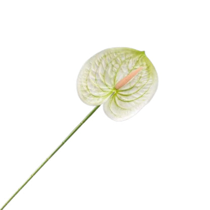 Floare anthurium artificiala cu tija, 59 cm, 13 modele, Ruyidecor