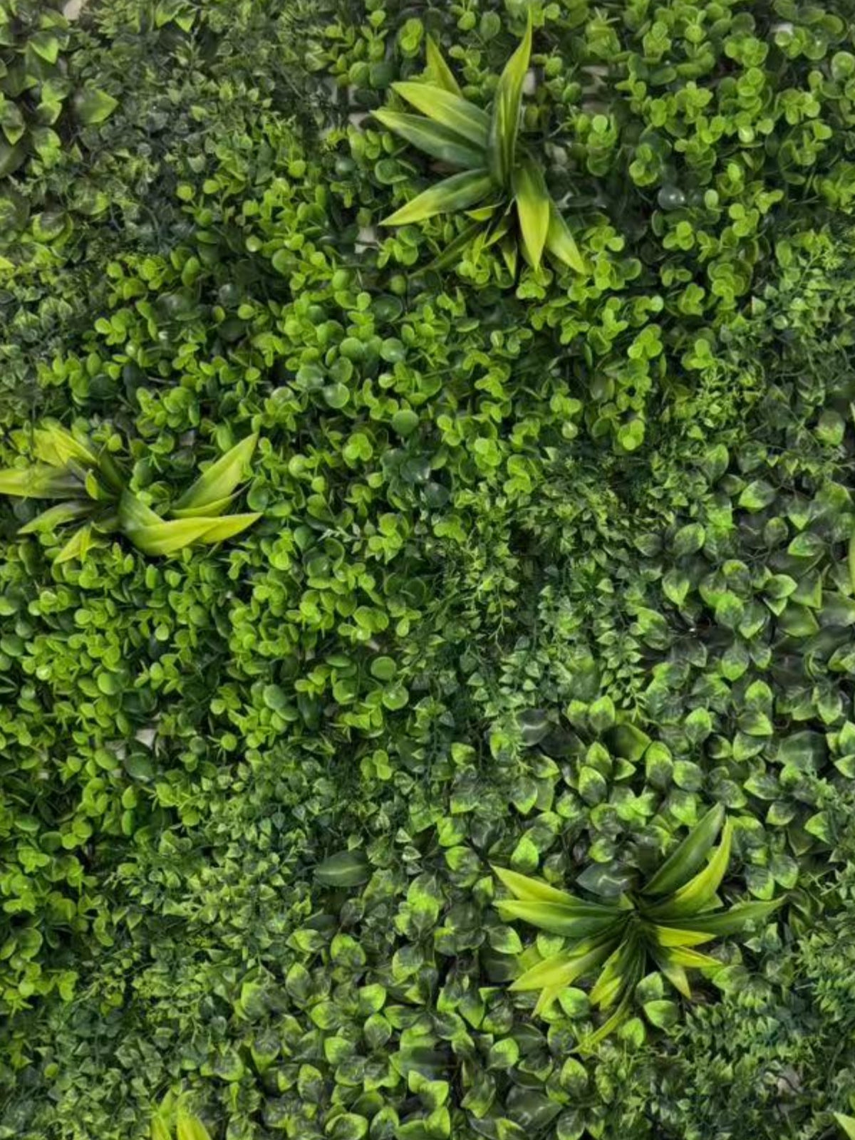 Panou Decorativ cu Plante Artificiale, Model Mix Verde, 1 x1 m
