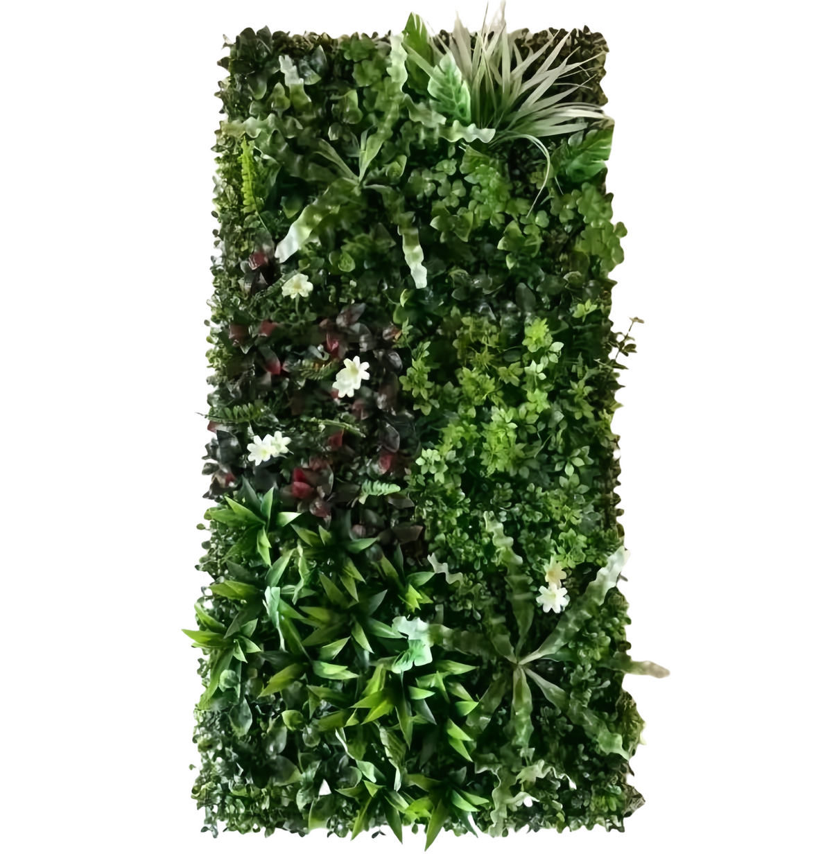 Panou Verde Din Plante Artificiale 50cm*100cm