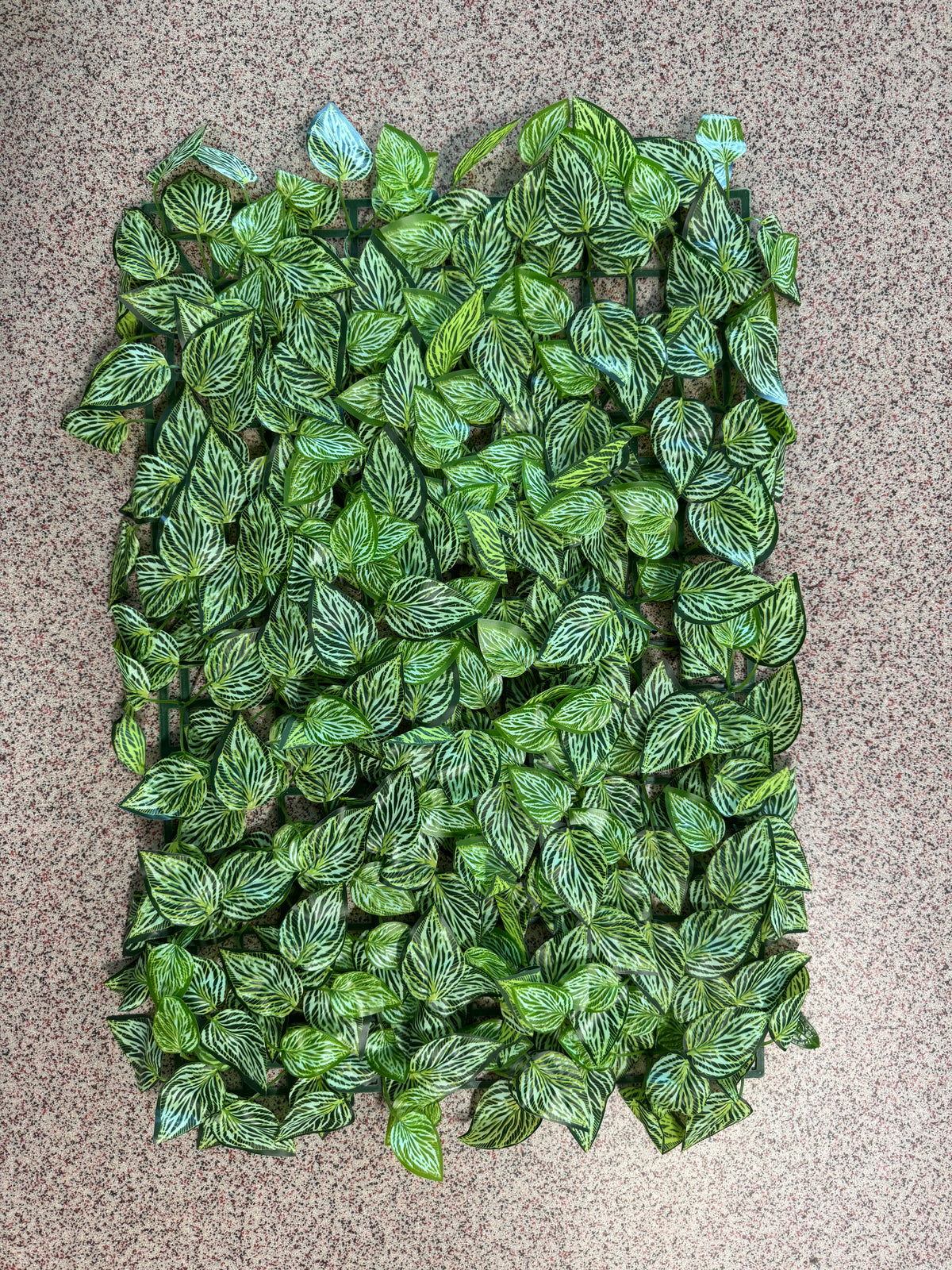 Panou verde artificial cu frunze dungate, 40 x 60 cm, Ruyidecor