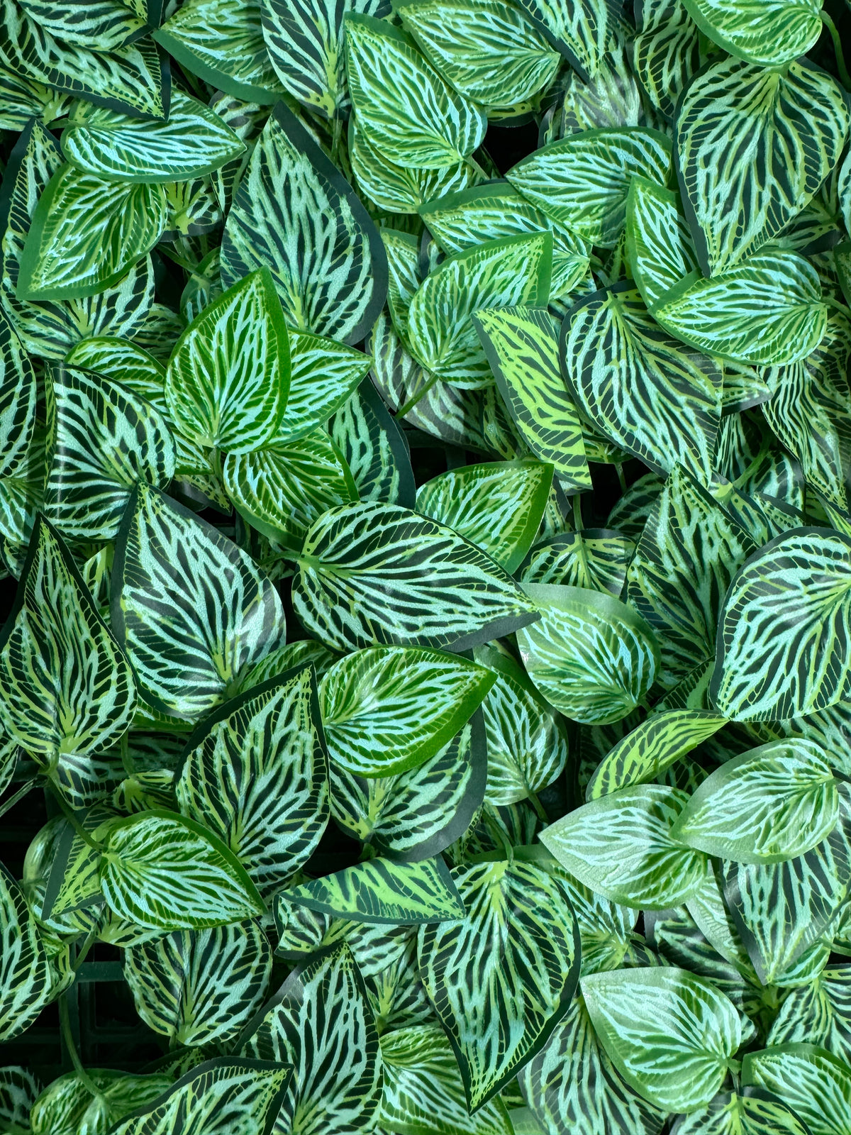 Panou verde artificial cu frunze dungate, 40 x 60 cm, Ruyidecor