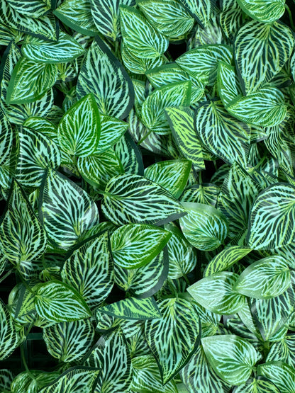 Panou verde artificial cu frunze dungate, 40 x 60 cm, Ruyidecor