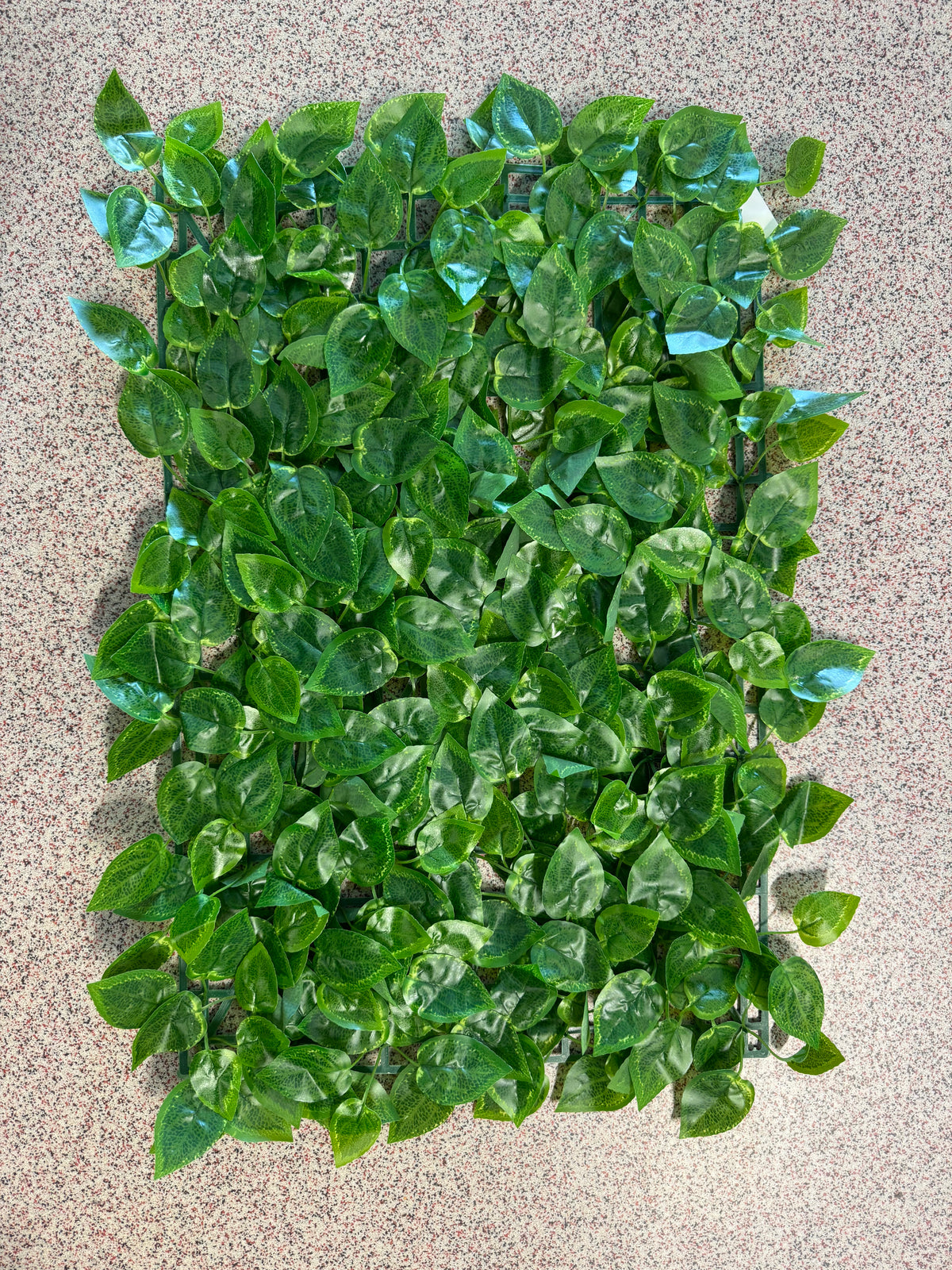 Panou verde artificial cu frunze ovale lucioase, 40 x 60 cm, Ruyidecor