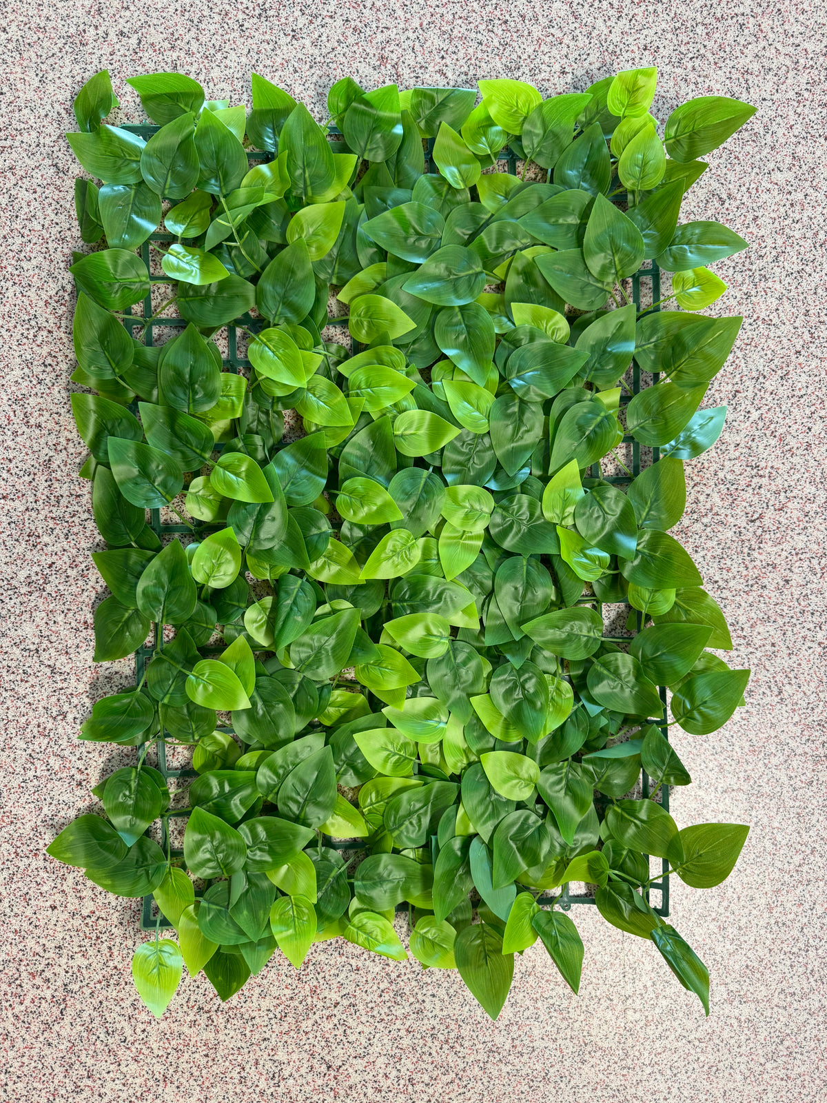 Panou verde artificial cu frunze tip pothos, 40 x 60 cm, Ruyidecor